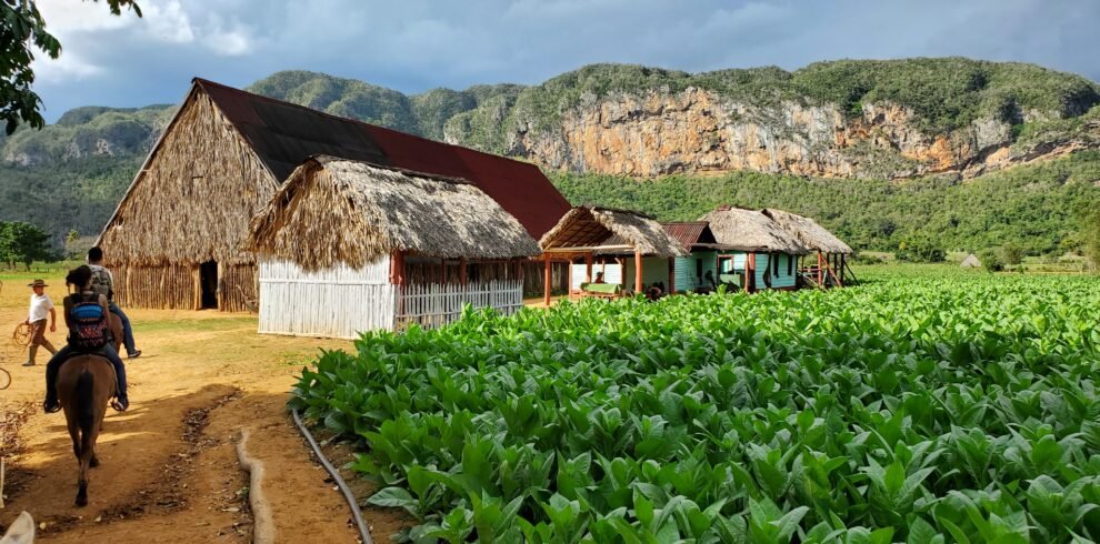 vinales foto buena